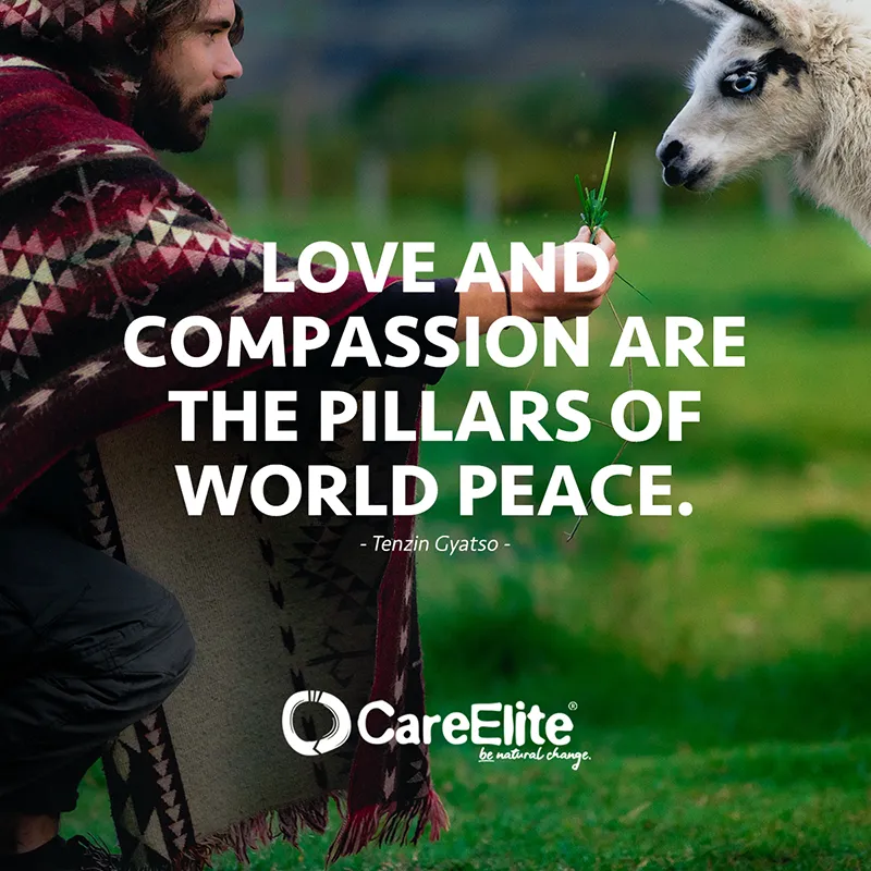 "Love and compassion are the foundations for world peace." (Dalai Lama)