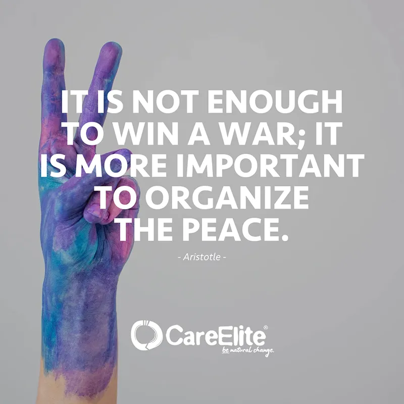 "It is not enough to win a war; it is more important to organize the peace." (Aristotle)