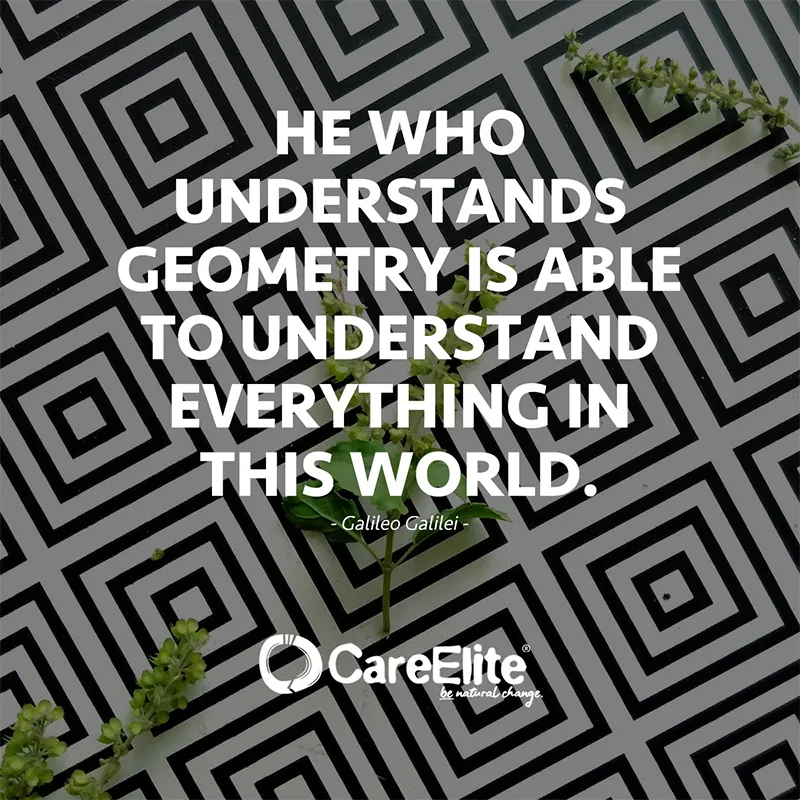 "He who understands geometry is able to understand everything in this world." (Galileo Galilei)