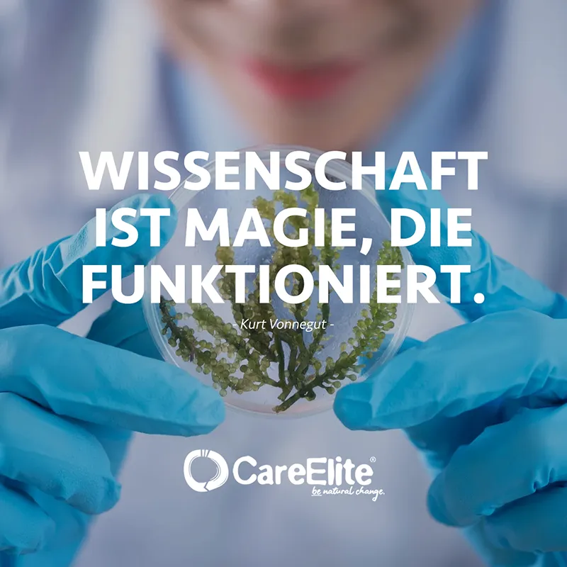 "Wissenschaft ist Magie, die funktioniert." (Zitat von Kurt Vonnegut)