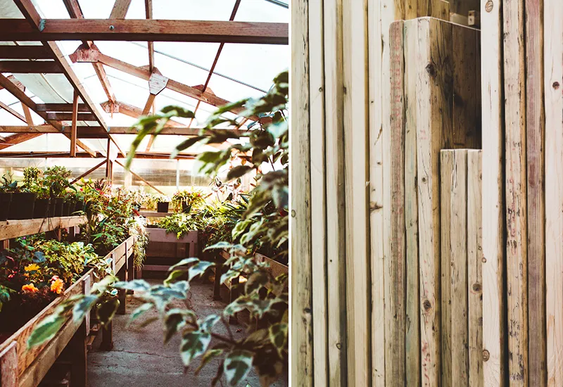 Instructions for your DIY greenhouse in the garden