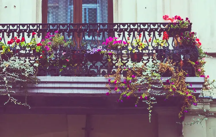 Eco-Friendly Balcony – How To Make Your Balcony More Sustainable