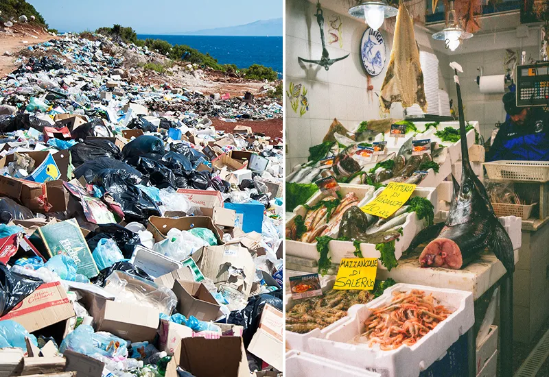 Plastikmüll und Überfischung – Umweltzerstörung durch den Menschen