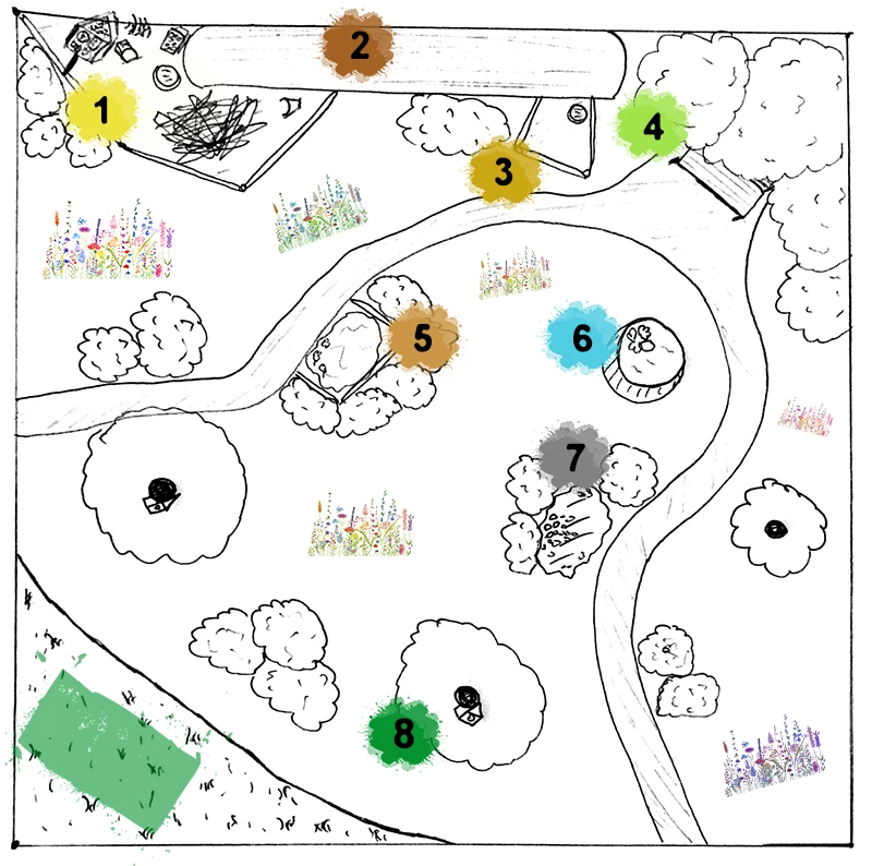 Design wildflower meadow - an example of successful division of the wild corner.