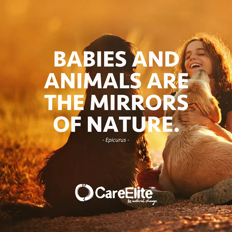 "Babies and animals are the mirrors of nature." (Epicurus)