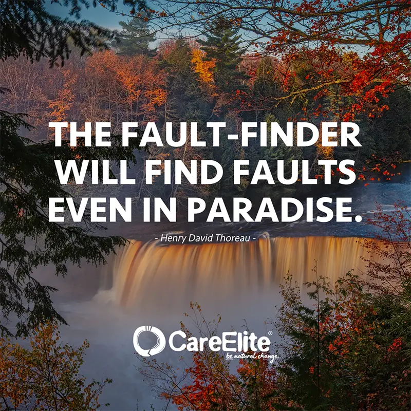 "The fault-finder will find faults even in paradise." (Quote from Henry David Thoreau)