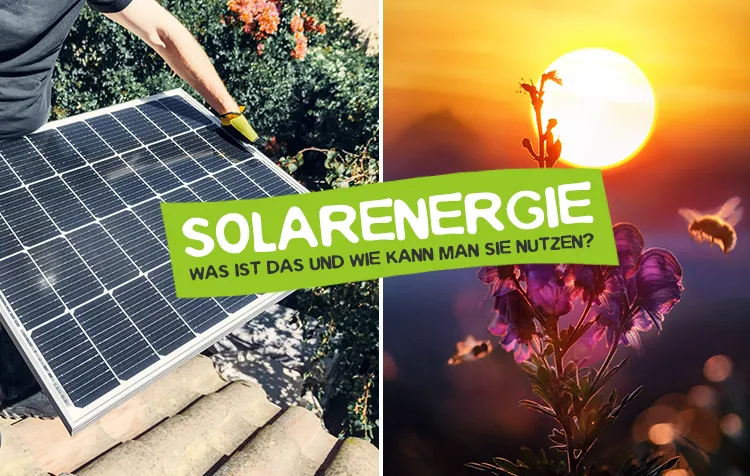 Solarenergie – Was ist Sonnenenergie und wie wird sie genutzt?