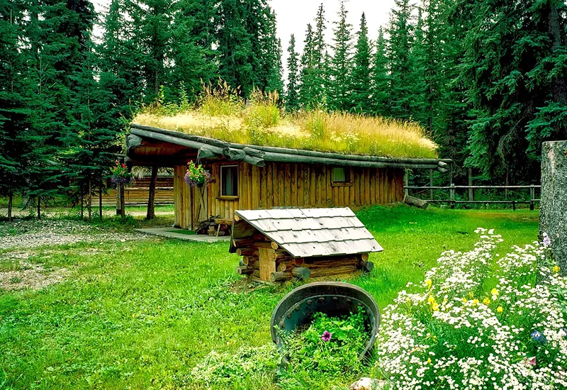 Die gewonnene Ästhetik ist ein großer Vorteil des Gründachs dieser Holzhütte