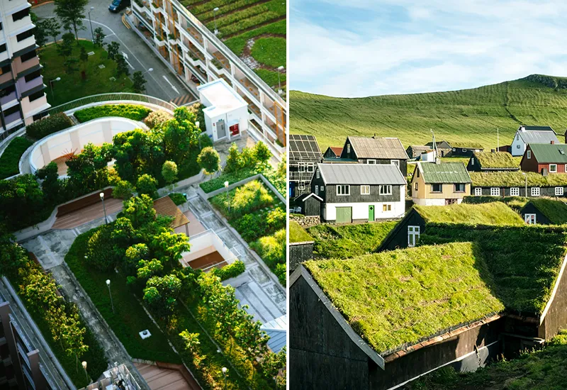 Grünes Dach in einer Stadt und auf dem Land