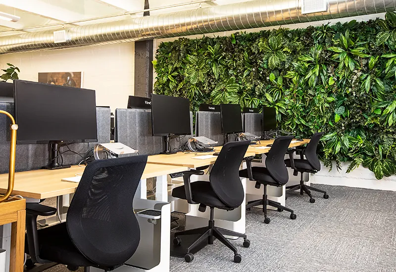 Plants play an important role in the workplace