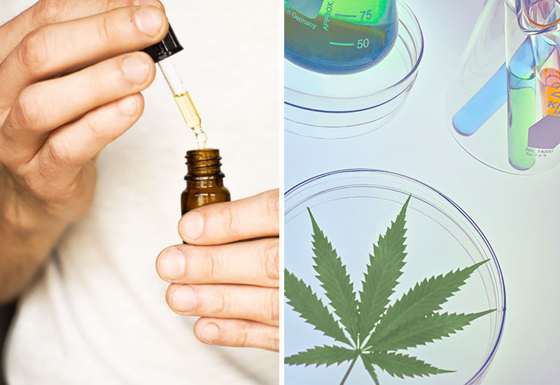 HOW CBD is extracted and processed