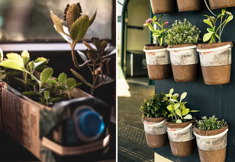Upcycling plant pots in the household