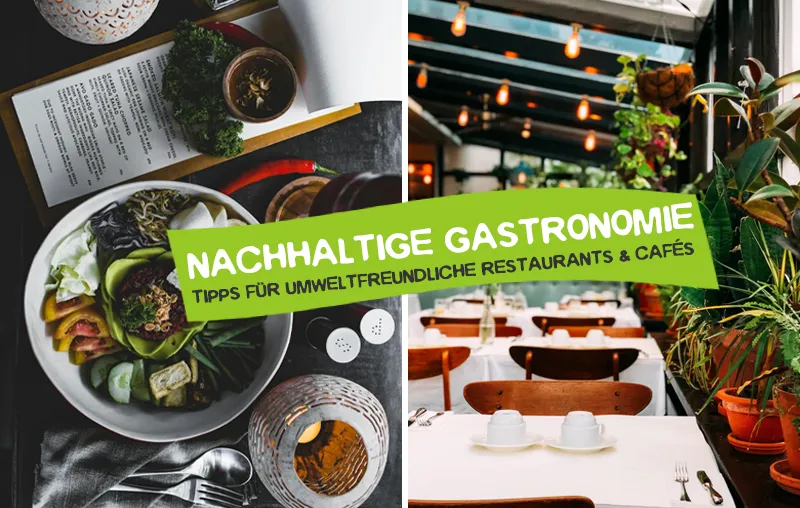 Sustainable Gastronomy – The Best Ideas & Tips for More Eco-friendly Restaurants and Cafés