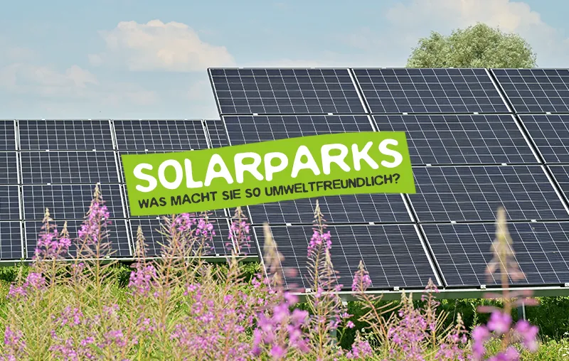 Solarparks – 10 Vorteile und Gründe, warum sie so umweltfreundlich und nachhaltig sind