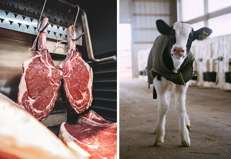 Keine tierischen Produkte wie Fleisch konsumieren
