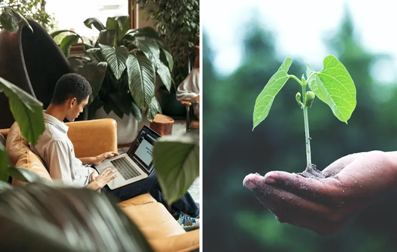 Sustainable Startups – What Are Green Startups?