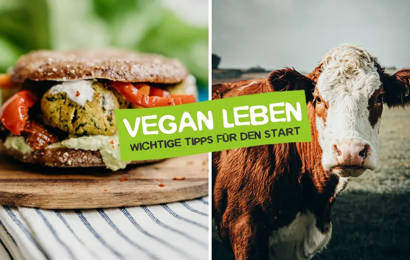 Vegan leben – Die besten Tipps für den Start in die vegane Lebensweise