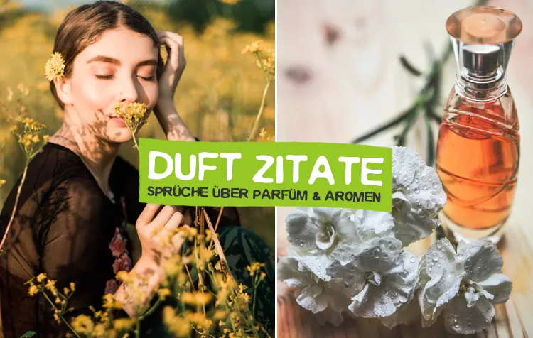 Duft Zitate – Die besten Sprüche über Parfüm, Düfte und Aromen
