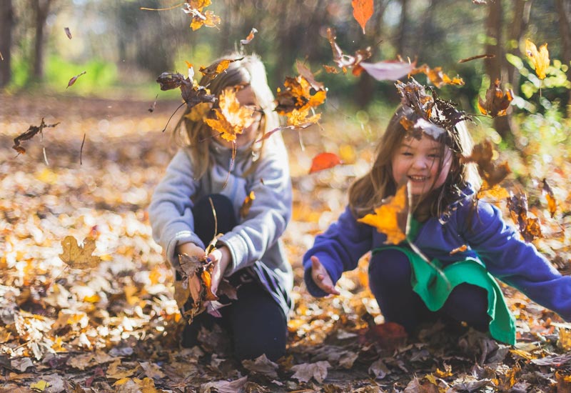 Children playing in the leaves in nature