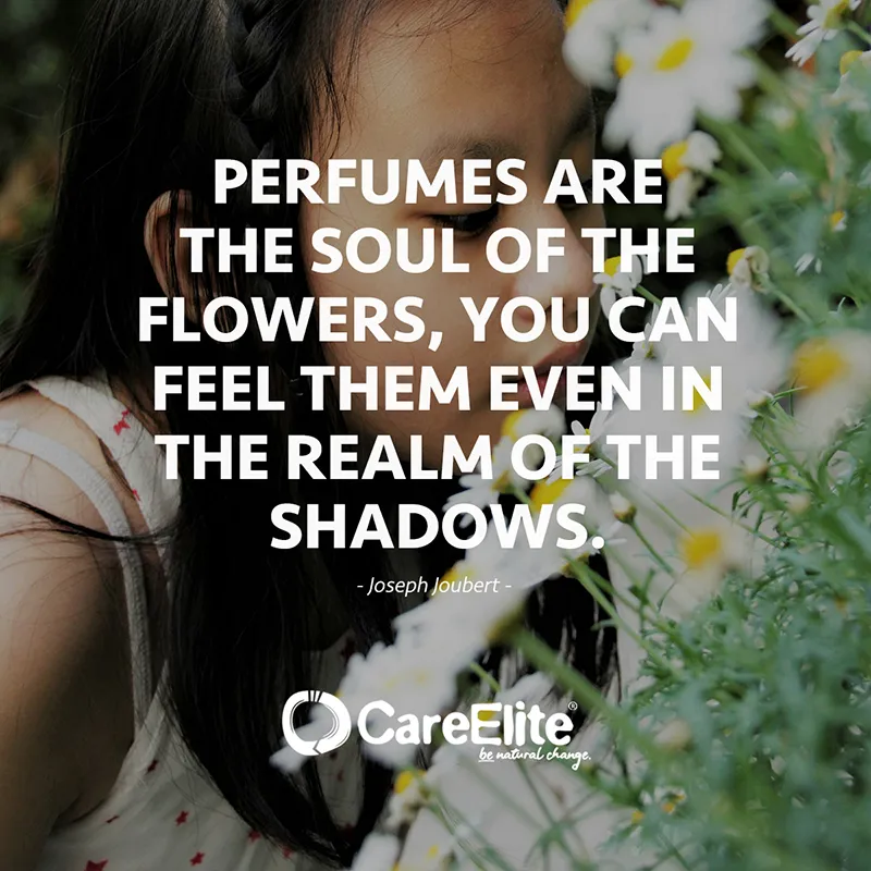 "Perfumes are the soul of the flowers, you can feel them even in the realm of the shadows." (Saying from Joseph Joubert)