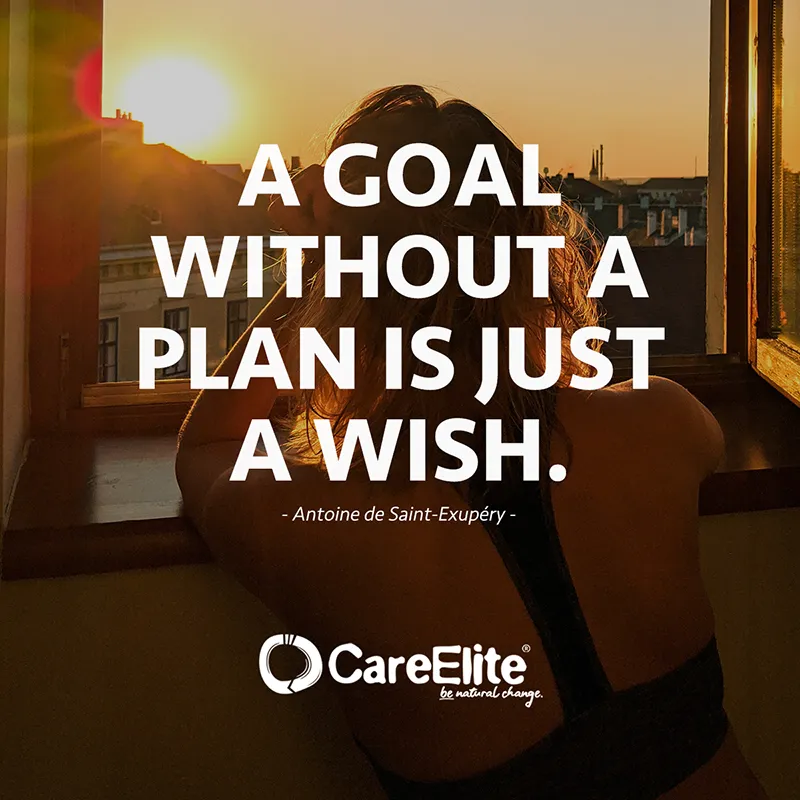 "A goal without a plan is just a wish." (Antoine de Saint-Exupéry)