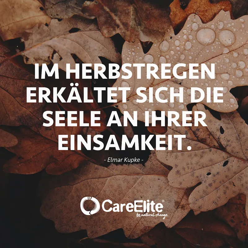 "Im Herbstregen erkältet sich die Seele an ihrer Einsamkeit." (Elmar Kupke)