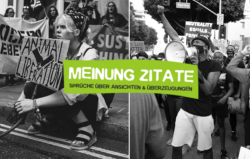 Meinung Zitate – Die besten Sprüche über Ansichten, Haltungen und Überzeugungen