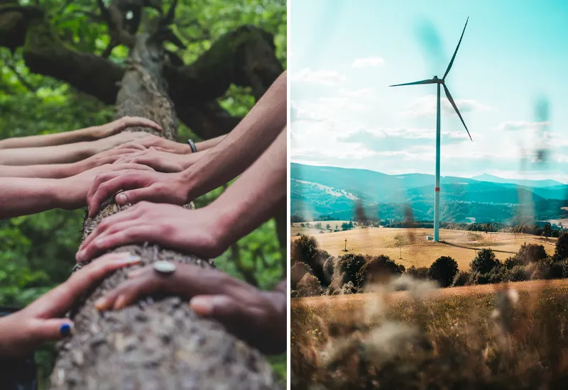 Mythos: "Nachhaltigkeitsberatung dreht sich ja nur um die Umwelt."