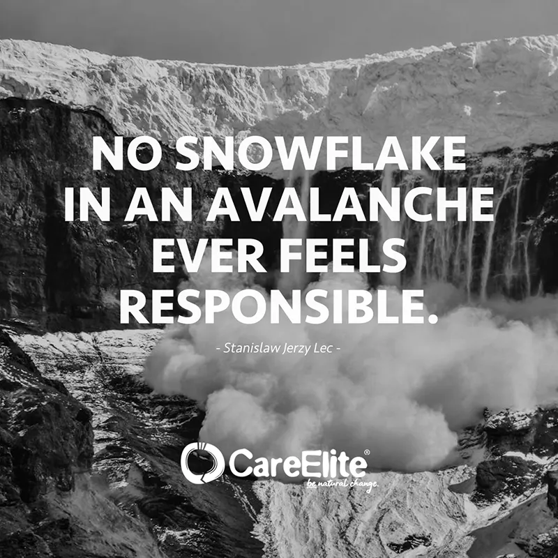 "No snowflake in an avalanche ever feels responsible." (Stanislaw Jerzy Lec)