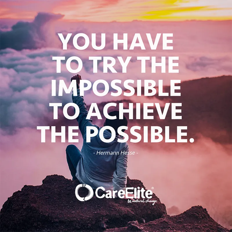 "You have to try the impossible to achieve the possible." (Hermann Hesse)