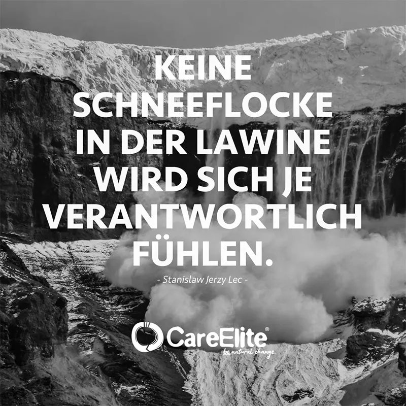 "Keine Schneeflocke in der Lawine wird sich je verantwortlich fühlen." (Stanislaw Jerzy Lec)