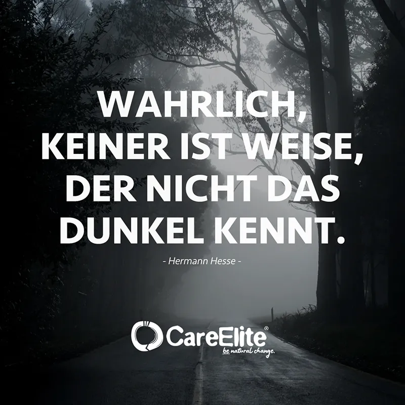 "Wahrlich, keiner ist weise, der nicht das Dunkel kennt." (Hermann Hesse)