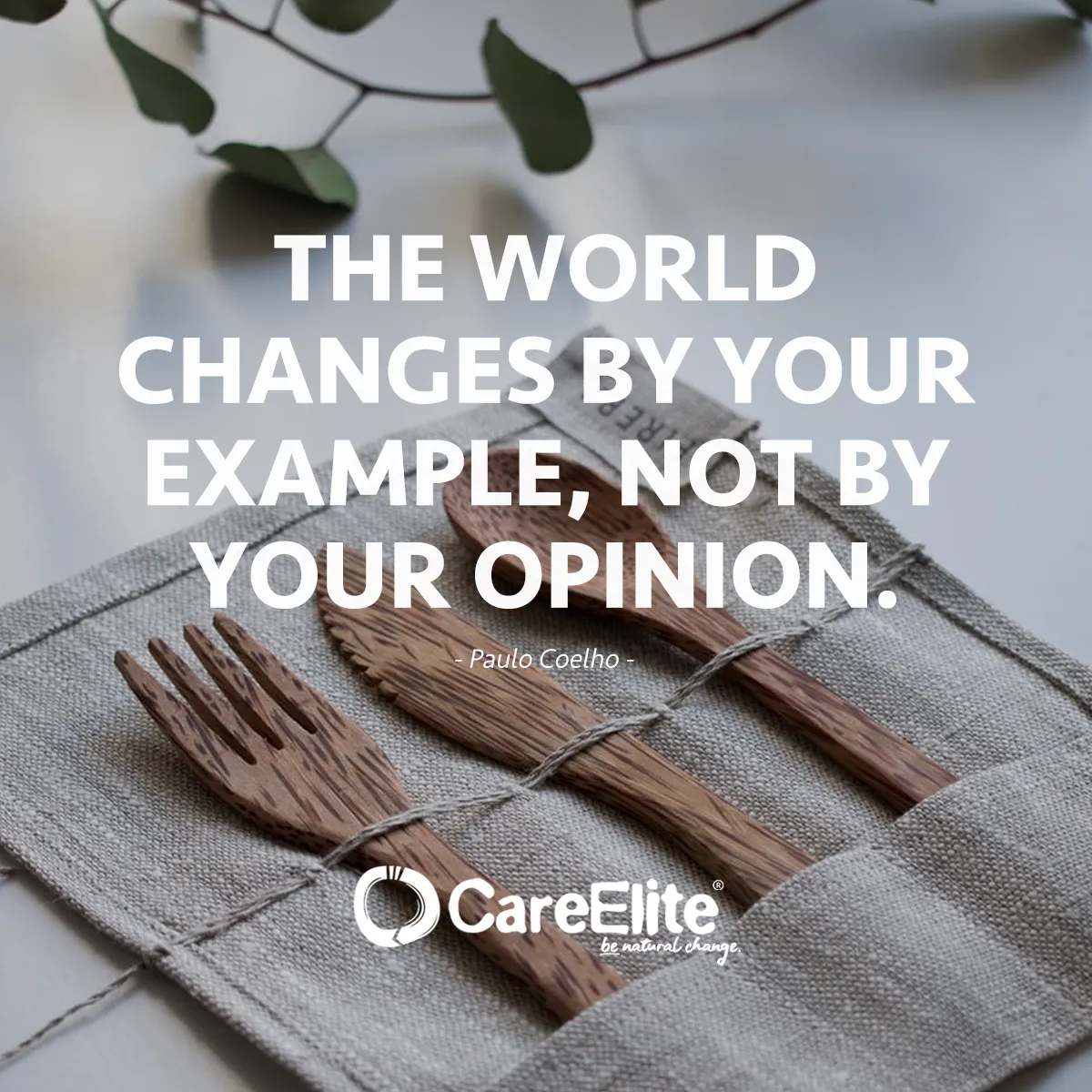 The world changes by your example, not by your opinion. (Quote from Paulo Coelho)
