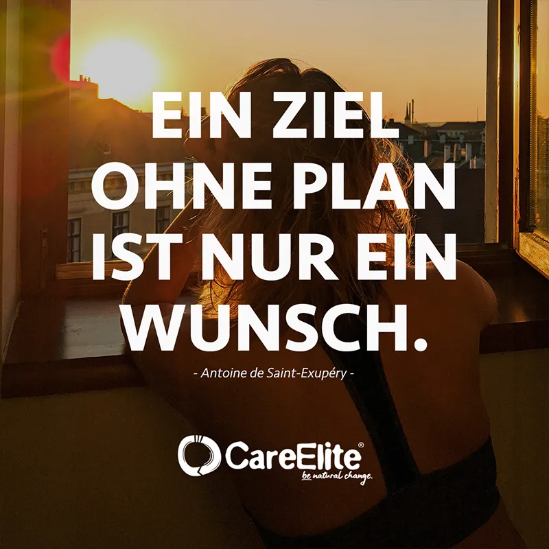 "Ein Ziel ohne Plan ist nur ein Wunsch" (Antoine de Saint-Exupéry)