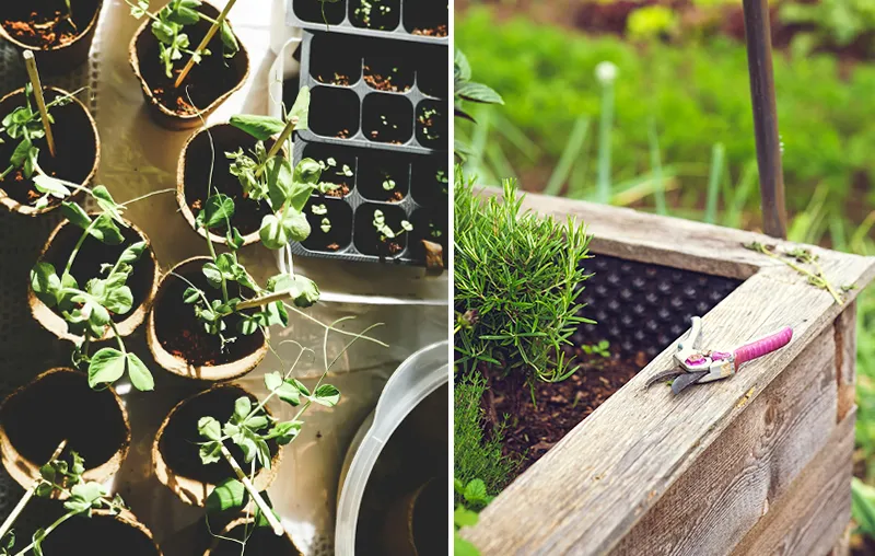 Gardening on a Budget – The Best Tips to Save Money in the Garden