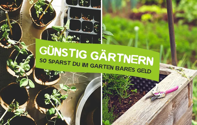 Günstig Gärtnern – Die besten Tipps, die im Garten bares Geld sparen
