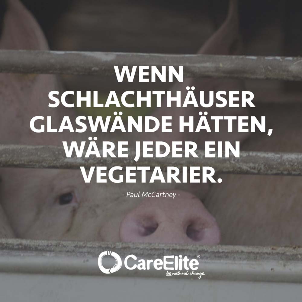 "Wenn Schlachthäuser Glaswände hätten, wäre jeder ein Vegetarier." (Paul McCartney)