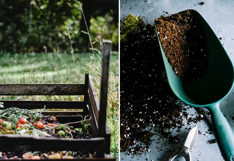 Kompostieren und günstig gärtnern