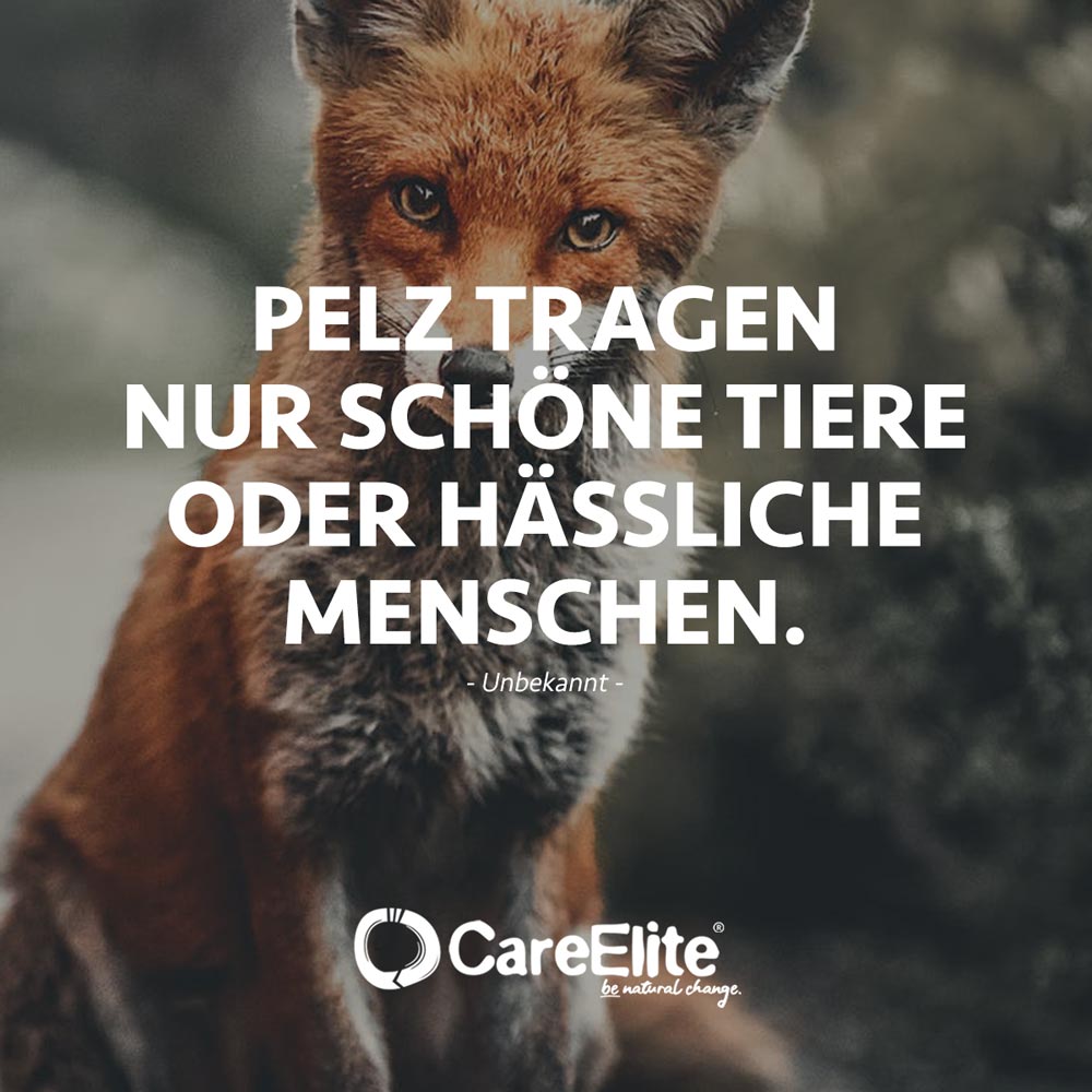 "Pelz tragen nur schöne Tiere oder hässliche Menschen." (Unbekannt)