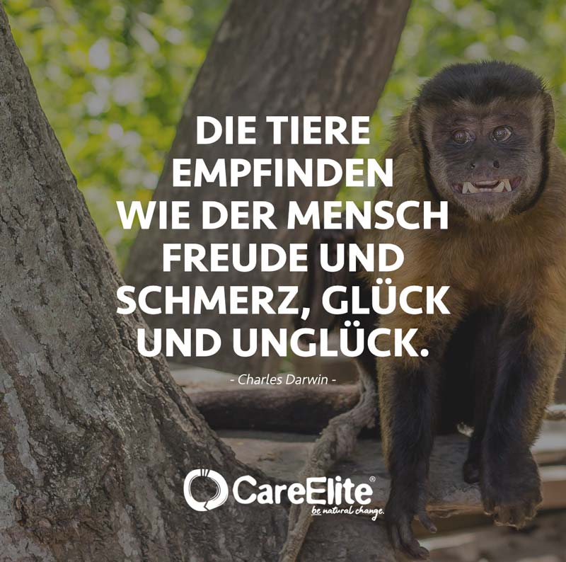 "Die Tiere empfinden wie der Mensch Freude und Schmerz, Glück und Unglück." (Charles Darwin)