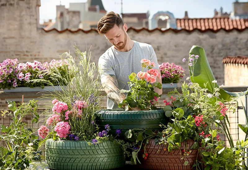 Geld sparen im Garten durch Upcycling