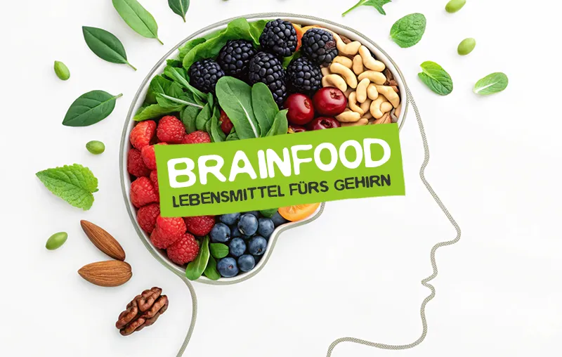 Brainfood – Die wichtigsten Lebensmittel, die dein Gehirn wirklich braucht
