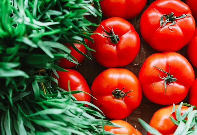 Tomaten sind ein wertvolles Brainfood
