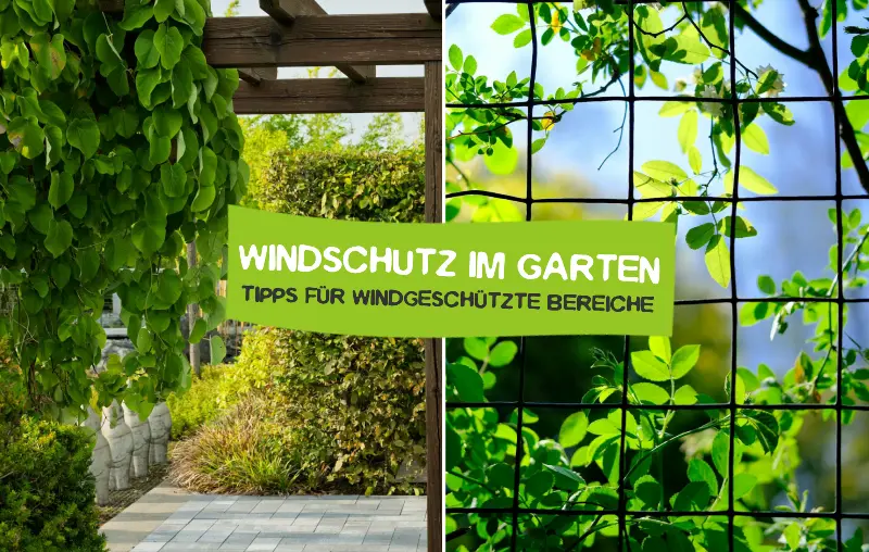 Windschutz im Garten – Die besten Tipps für windgeschützte Bereiche in naturnahen Gärten