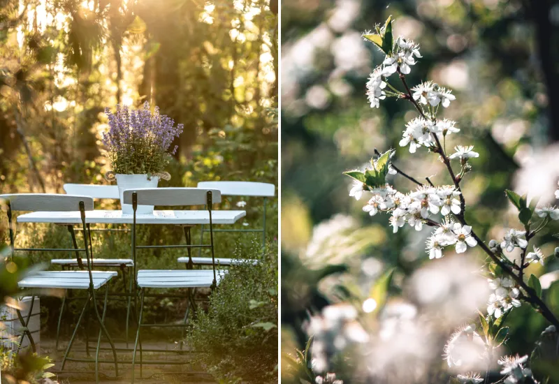 Slow Living im Garten mit Natur