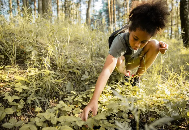 Nachhaltige Waldwirtschaft erhält unsere Wälder für zukünftige Generationen