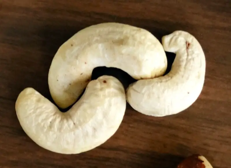 Cashews Cashewsahne selbermachen