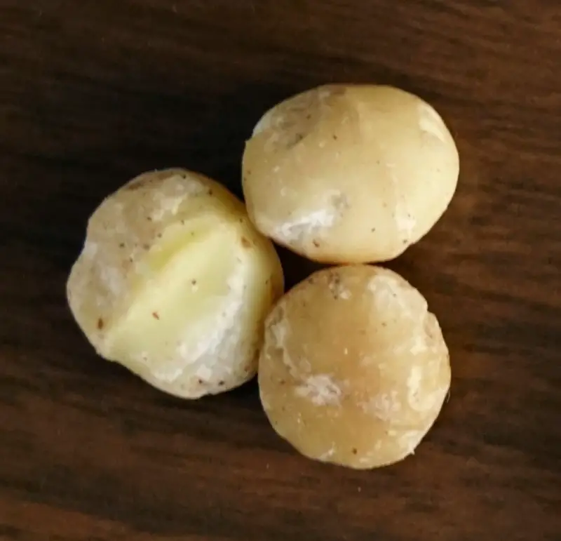 Macadamia nut milk make yourself