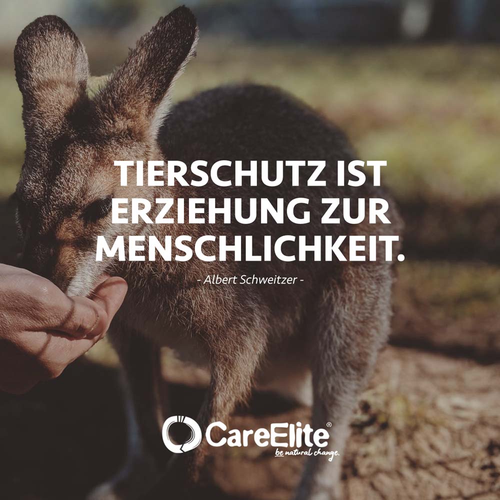 Tierschutz Menschlichkeit Zitat für Artenschutz