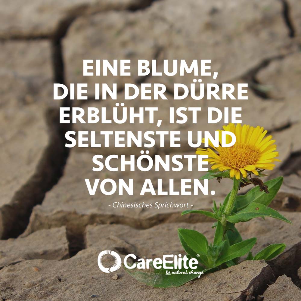 Dürre Zitate Wasser Wasserknappheit